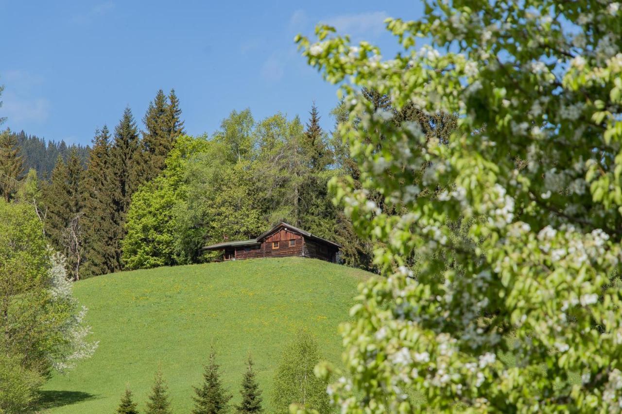 Landhotel Hinteraigengut Flachau Esterno foto